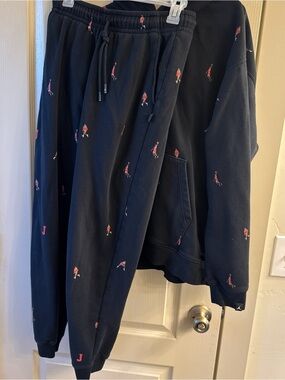 Nike jordan large hoodie and medium jogger Set